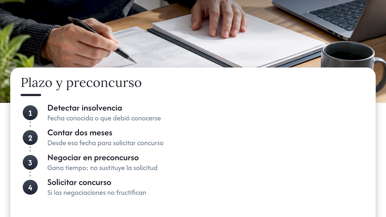 Plazo de dos meses y función del preconcurso