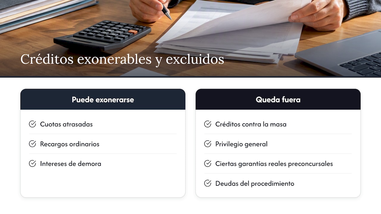 Qué deudas de la Seguridad Social pueden ser exoneradas — overview diagram
