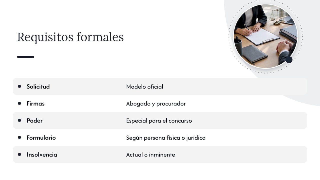 El modelo oficial y la firma de abogado y procurador — overview diagram